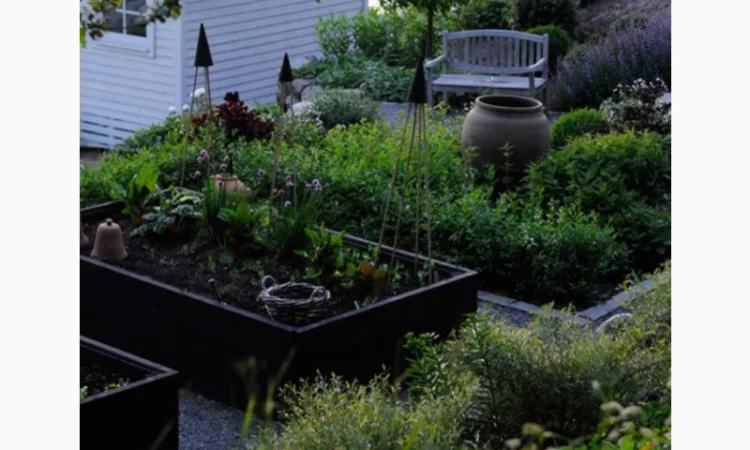 Деоративна грядка, клумба, вітник, газончик - фото № 1