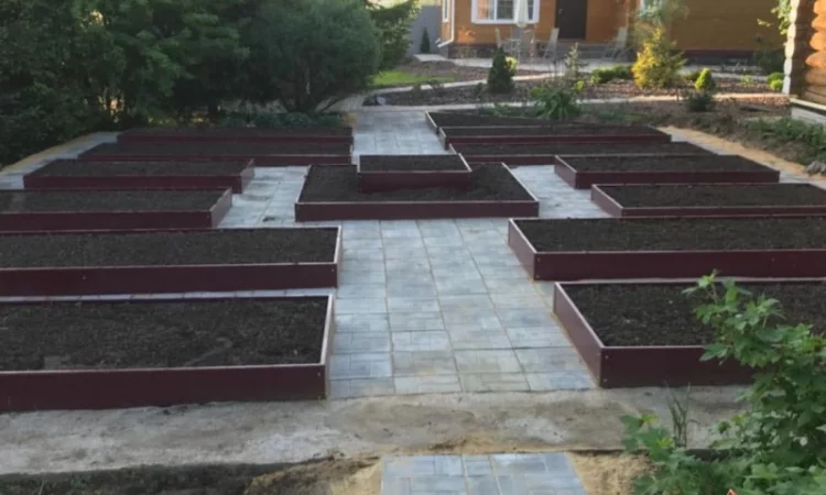 Деоративна грядка, клумба, вітник, газончик - фото № 3