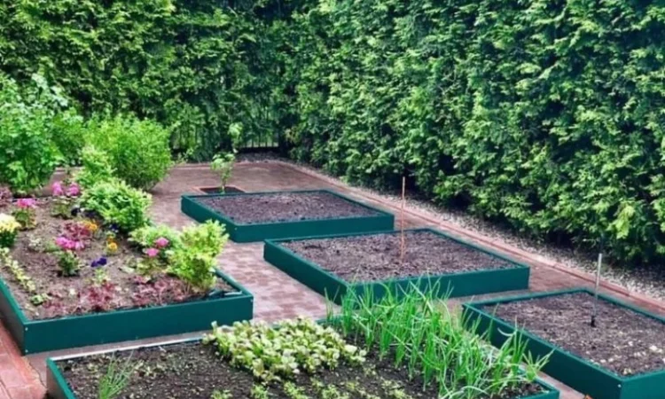 Мінігород, мінігазон, грядка, клумба - фото № 2