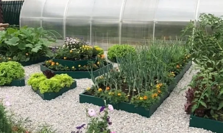 Мінігород, мінігазон, грядка, клумба - фото № 3