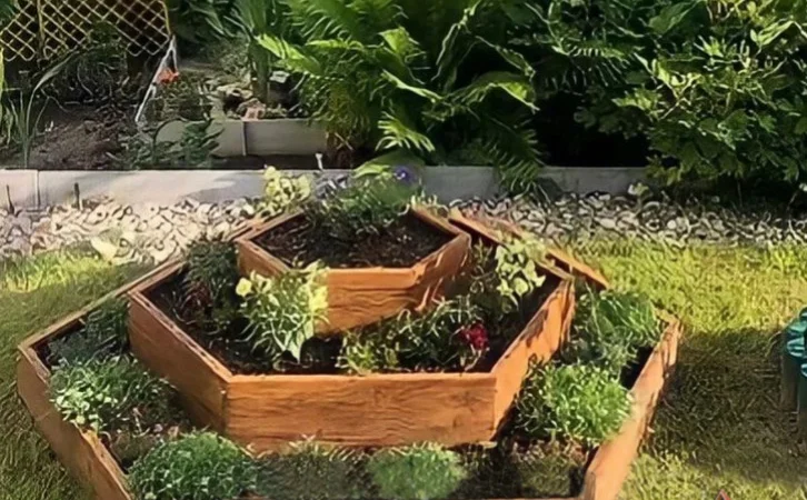 Грядка, клумба, Альпійська гірка, каскадна клумба - фото № 3