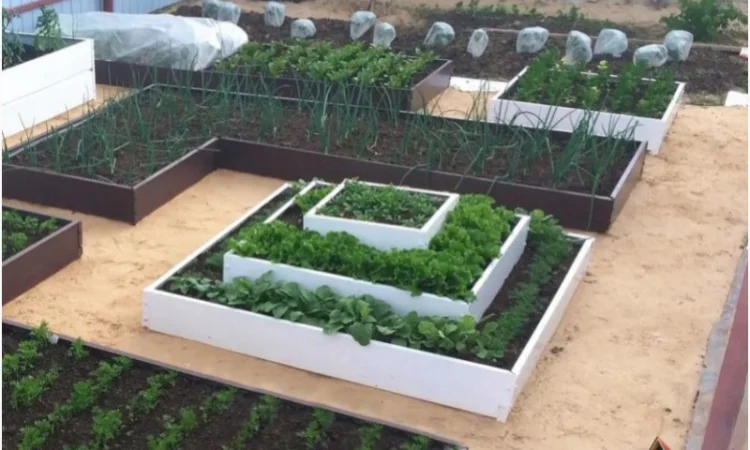 Грядка, клумба, Альпійська гірка, каскадна клумба - фото № 6