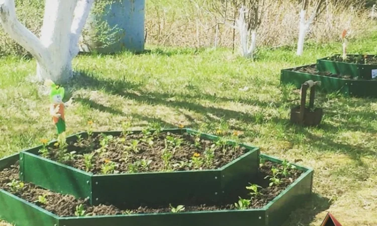 Грядка, клумба, Альпійська гірка, каскадна клумба - фото № 7