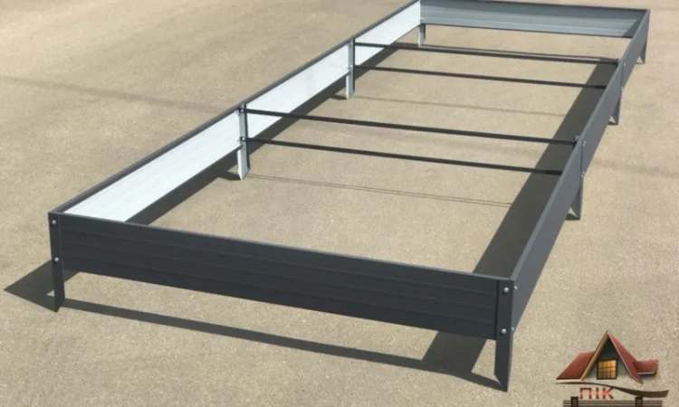 Грядка з пермичкою, клумба з перемичками по середині - фото № 2