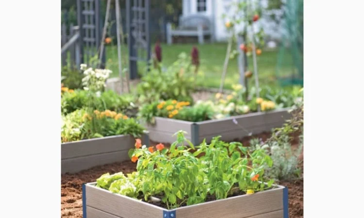 Насипна клумба, грядка для ділянки - фото № 1