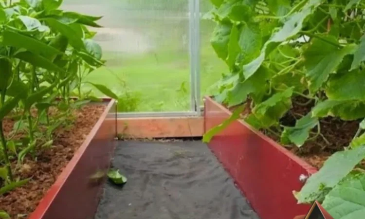 Насипна клумба, грядка для ділянки - фото № 5