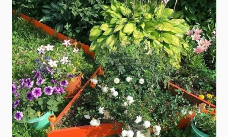 Насипна клумба, грядка для ділянки - фото № 6