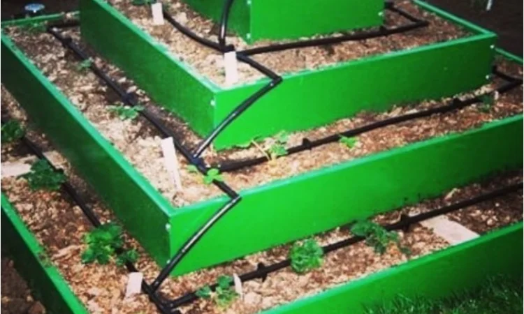 Грядка для ділянки, клумба, мінігазон - фото № 2