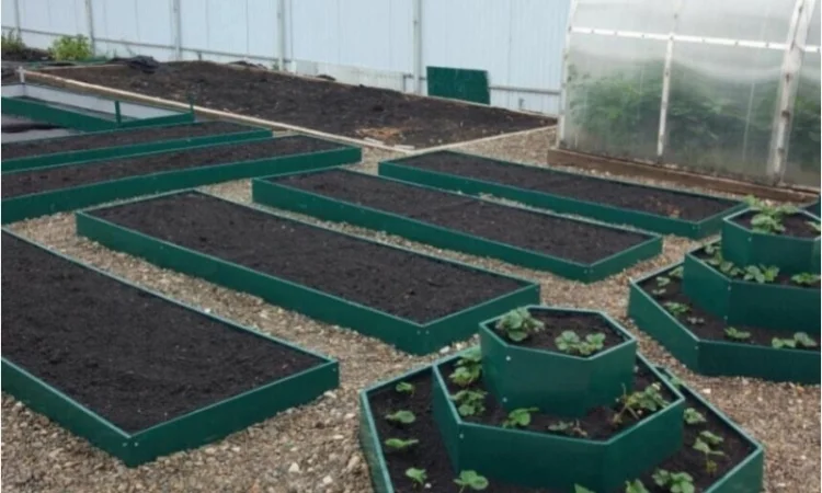 Грядка для ділянки, клумба, мінігазон - фото № 3