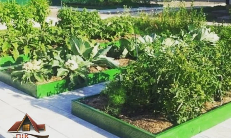 Грядка для ділянки, клумба, мінігазон - фото № 4