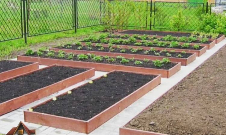 Грядка для ділянки, клумба, мінігазон - фото № 6