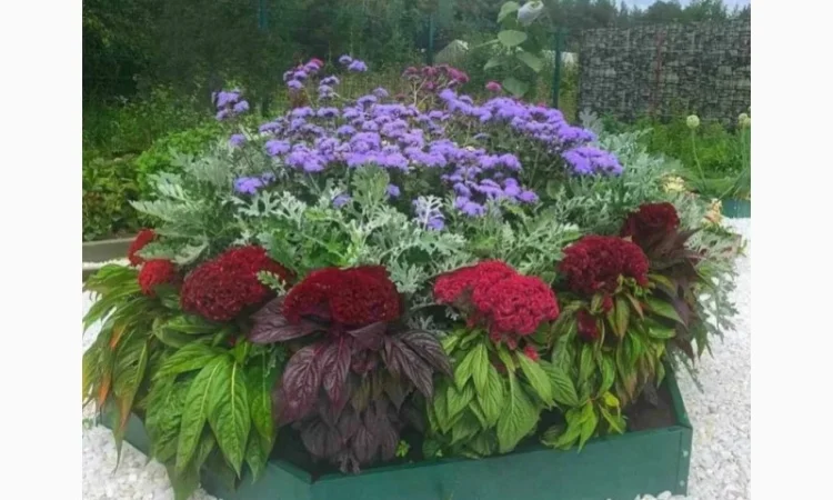 Ступінчата грядка, какскадна клумба, Альпійська гірка - фото № 2