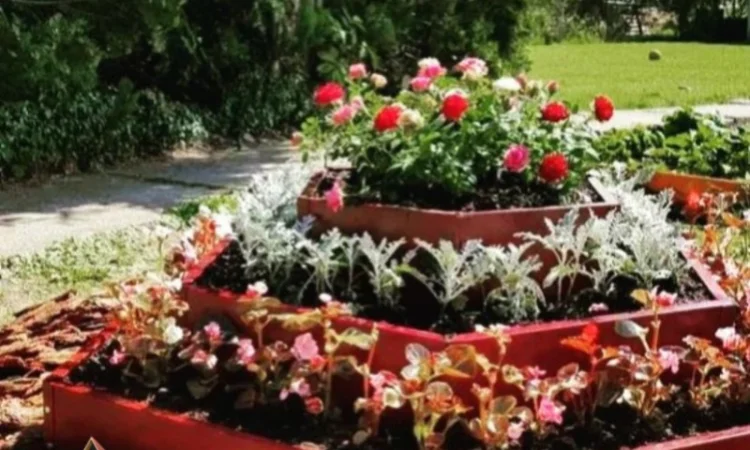 Ступінчата грядка, какскадна клумба, Альпійська гірка - фото № 3