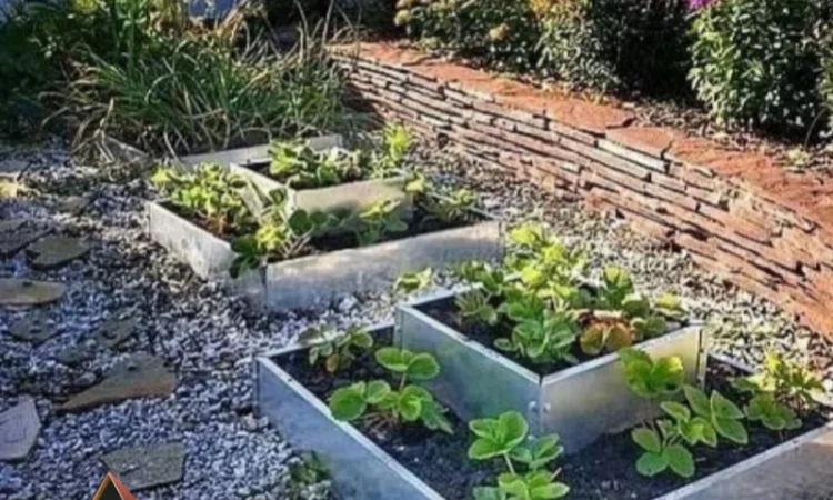 Ступінчата грядка, какскадна клумба, Альпійська гірка - фото № 6