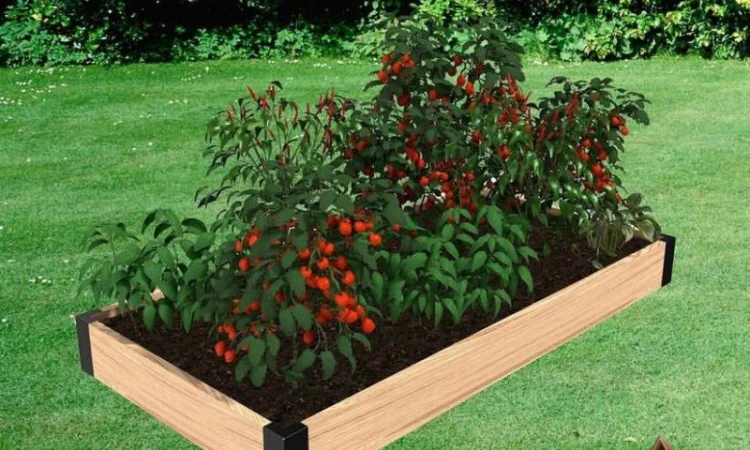 Висока насипна грядка, тепла клумба, мінігород, мінігазон - фото № 1