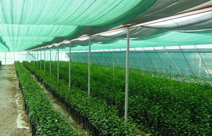 Затеняющая сетка Karatzis зеленая (8х50) 50% - фото № 1