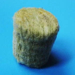 Проращивания семян-рассады - фото № 2