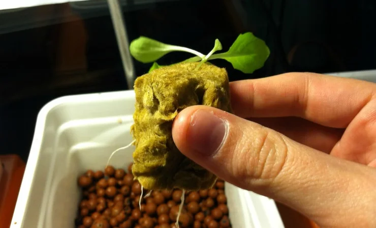 Пробки для проращивания рассады - фото № 2