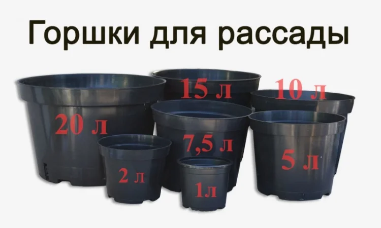 Горшки для рассады и саженцев Оптом. Польша, доставка по Украине - фото № 1