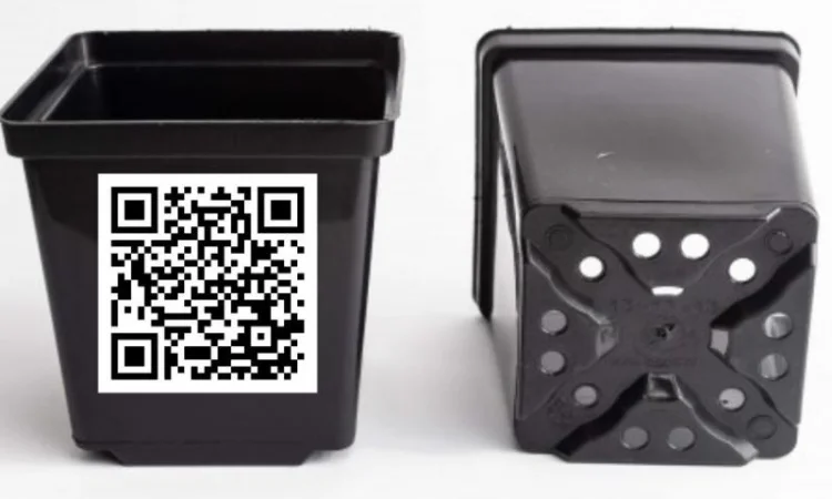 Квадратні горщики для квітів та розсади Kloda - фото № 1