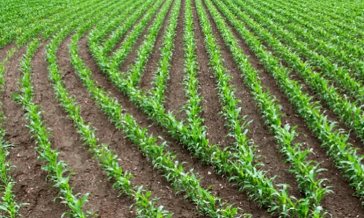 Система дифференциального внесения материалов trimble field-iq система точного земледелия - фото № 2