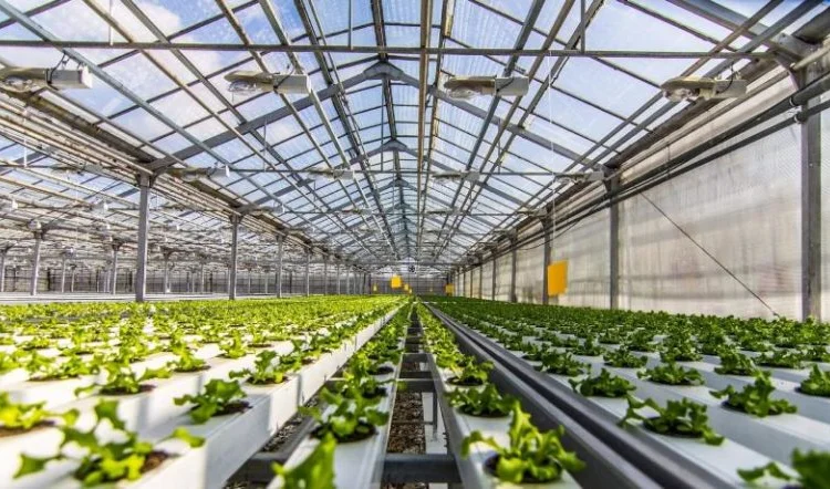 Продам теплицы Антрацит 399 гривен метр - фото № 2