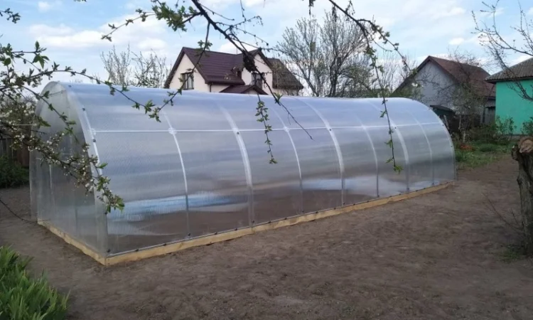 Теплица " Славяночка" с поликарбонатом.Теплица "Урожайная" с пленкой. ЗАВОД ТЕПЛИЦ - фото № 3