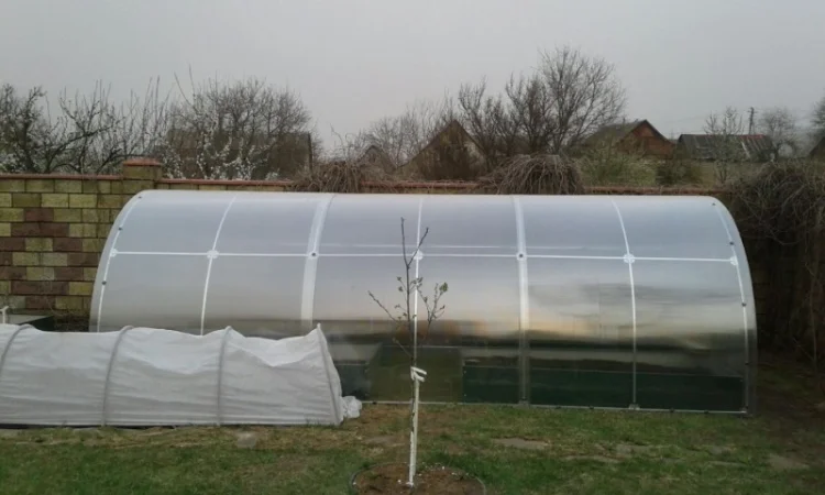 Дачные теплицы с поликарбонатом и пленкой. ЗАВОД ТЕПЛИЦЬ - фото № 5