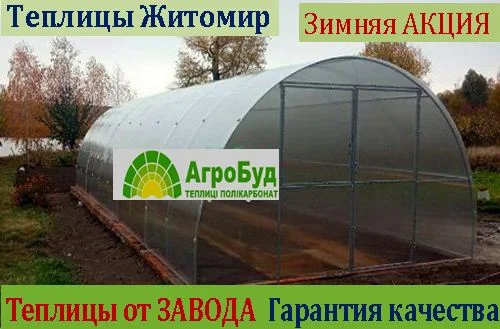 Дачные теплицы с поликарбонатом и пленкой. ЗАВОД ТЕПЛИЦЬ - фото № 1