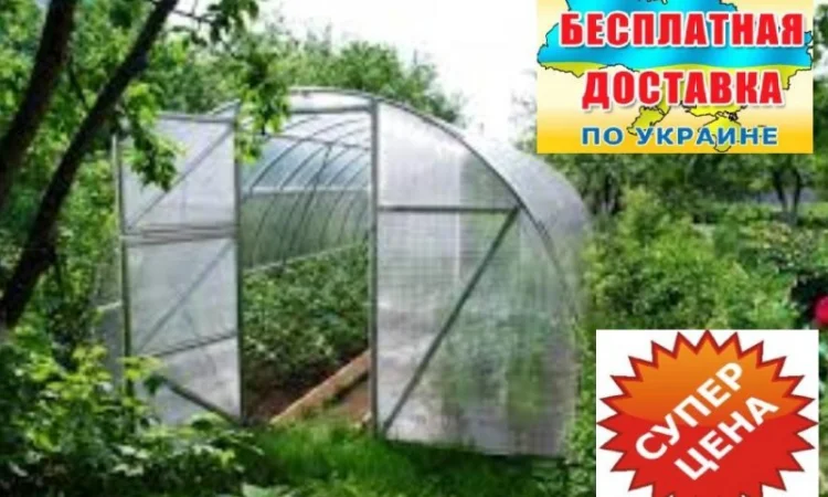 Теплицы пленочные - фото № 1