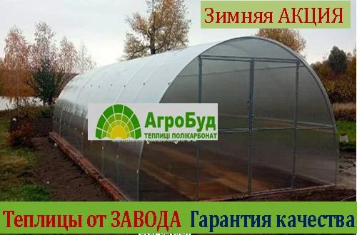 Новые теплицы с поликарбонатом и пленкой.ЗАВОД ТЕПЛИЦ. АКЦИЯ - фото № 1