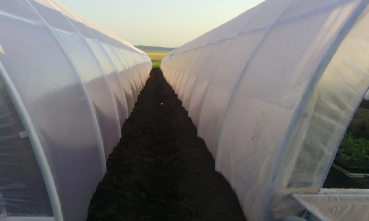 Пленочные теплицы от производителя по доступным ценам - фото № 3