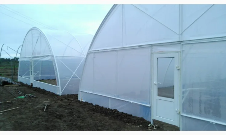 Пленочные теплицы от производителя по доступным ценам - фото № 5