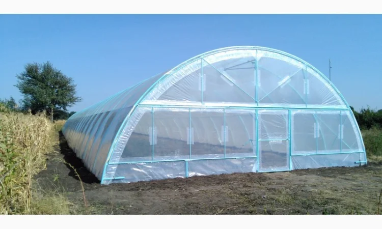 Теплица «Фермерская» 500 м2 с двойной пленкой и шпалерой - фото № 1
