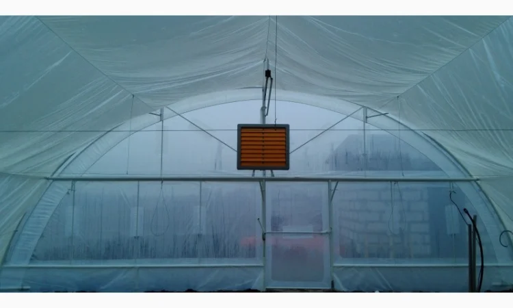 Теплица «Фермерская» 500 м2 с двойной пленкой и шпалерой - фото № 3