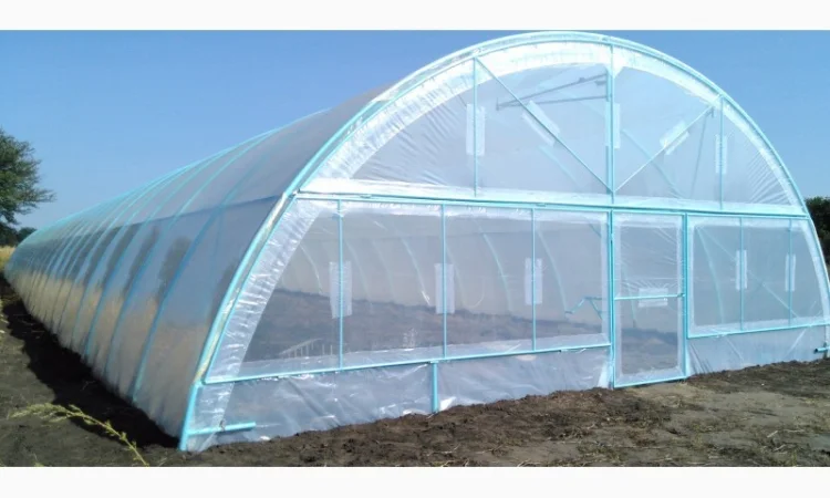 Теплица фермерская 500 м2 пленочная - фото № 2