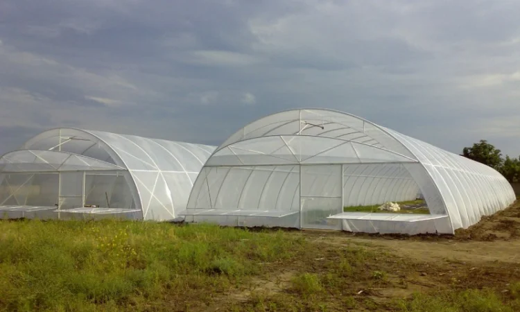 Теплица фермерская 500 м2 пленочная - фото № 3