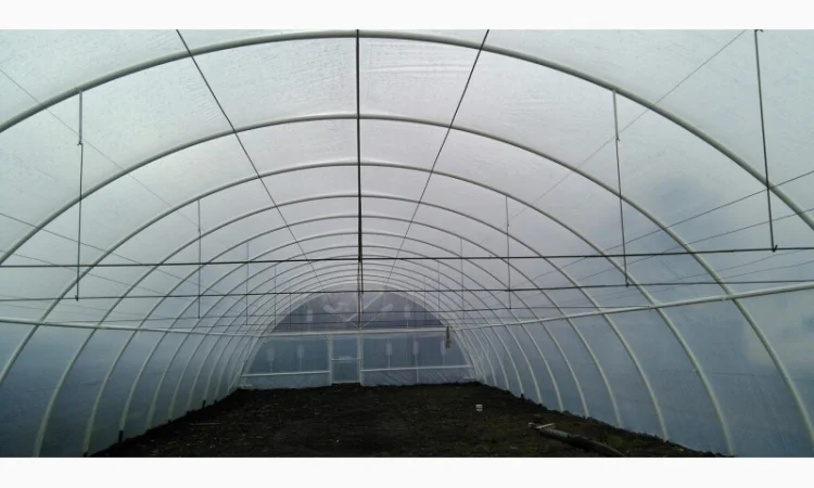 Теплица фермерская 500 м2 пленочная - фото № 5