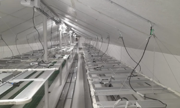 Продаж надприбуткові канабіс теплиці з обігрівом 1500 кв.м - фото № 15