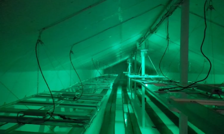 Продаж надприбуткові канабіс теплиці з обігрівом 1500 кв.м - фото № 13