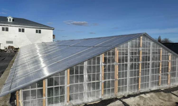 Продаж надприбуткові канабіс теплиці з обігрівом 1500 кв.м - фото № 11