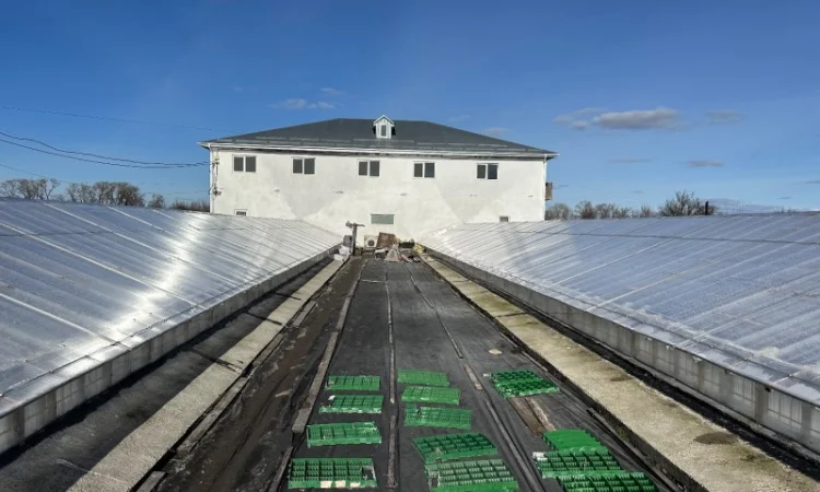 Продаж надприбуткові канабіс теплиці з обігрівом 1500 кв.м - фото № 2