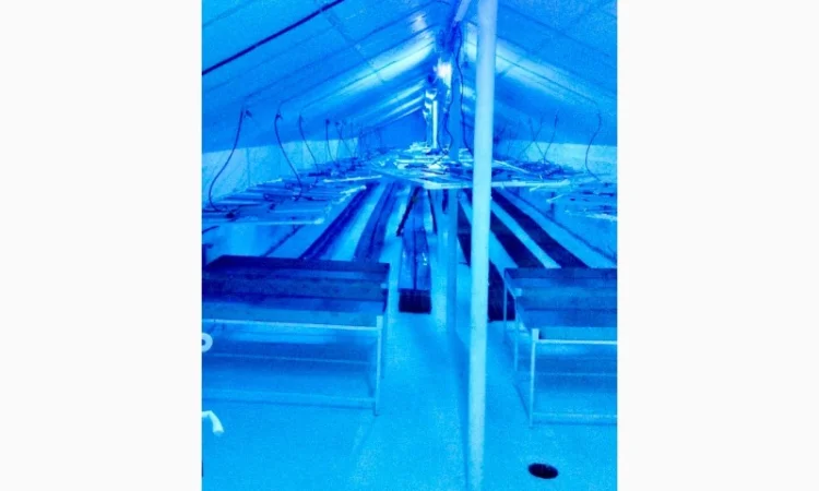 Продаж надприбуткові канабіс теплиці з обігрівом 1500 кв.м - фото № 9