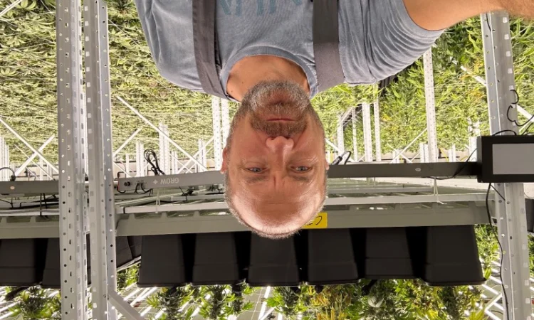 Продаж надприбуткові канабіс теплиці з обігрівом 1500 кв.м - фото № 8