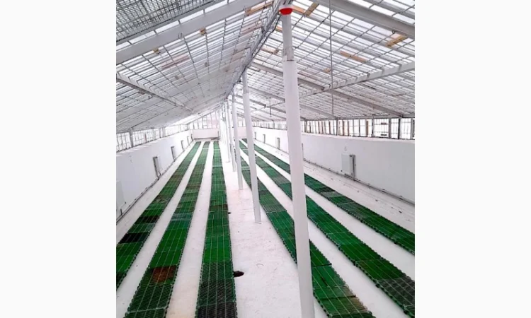 Продаж надприбуткові канабіс теплиці з обігрівом 1500 кв.м - фото № 1