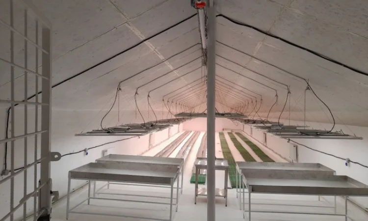 Продаж надприбуткові канабіс теплиці з обігрівом 1500 кв.м - фото № 16