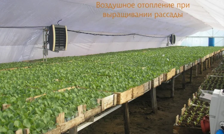 Отопление теплиц - фото № 1