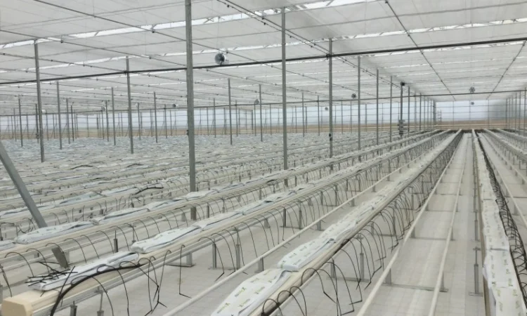 Теплицы, оросительные системы и оборудование пр-ва Испания - фото № 3