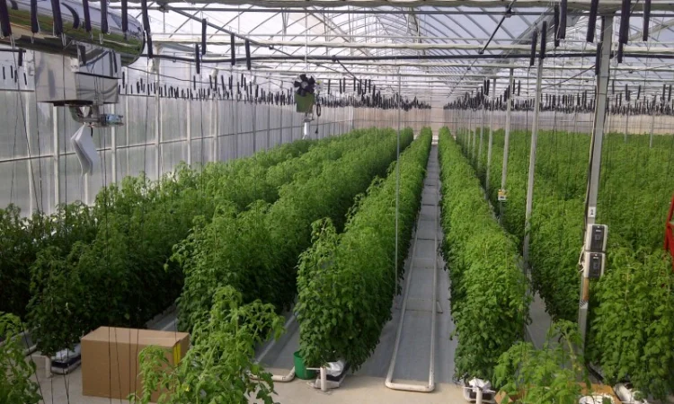 Теплицы, оросительные системы и оборудование пр-ва Испания - фото № 5