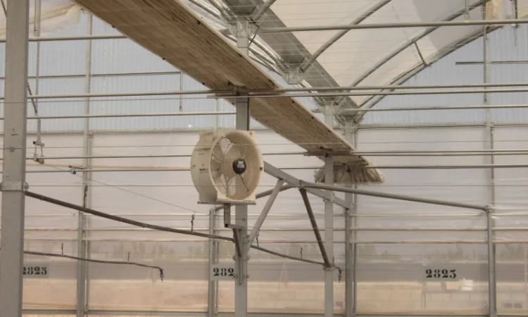 Теплицы, оросительные системы и оборудование пр-ва Испания - фото № 7